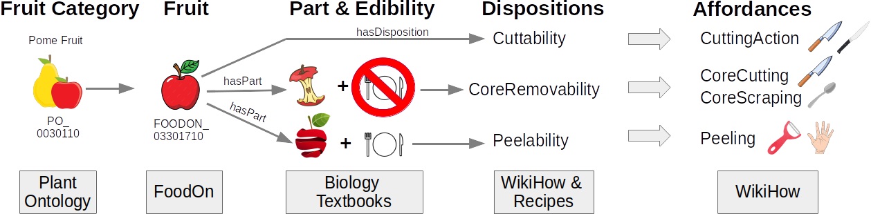 Connecting affordances and dispositions for an apple